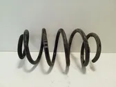 Front coil spring