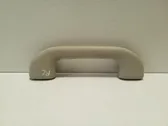 Front interior roof grab handle