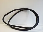 Front door rubber seal