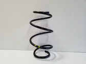 Front coil spring