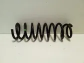 Rear coil spring