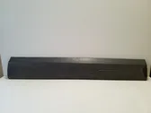 Front door trim (molding)