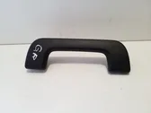 Front interior roof grab handle