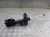 Front shock absorber/damper