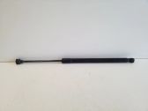 Tailgate/trunk strut/damper