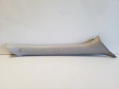 (A) pillar trim