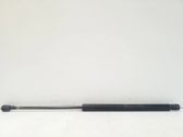 Tailgate/trunk strut/damper