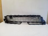 Grille inférieure de pare-chocs avant