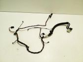 Other wiring loom