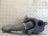 Caja del filtro de aire
