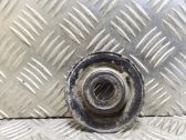 Coil spring mount