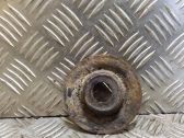 Coil spring mount