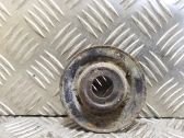 Coil spring mount