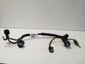 Other wiring loom