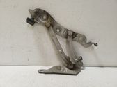 Tailgate/trunk/boot hinge