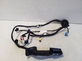 Front door wiring loom