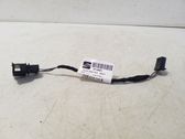 Rear door wiring loom