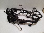 Other wiring loom