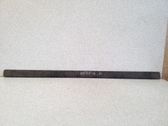 Front door trim (molding)