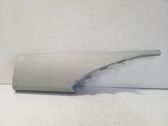 (D)pillar trim (top)