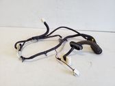 Rear door wiring loom