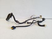Rear door wiring loom