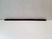 Front door glass trim molding