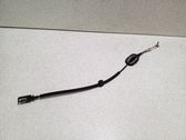 Línea de cable puerta delantera