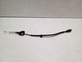 Línea de cable puerta delantera