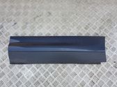 Rear door trim (molding)