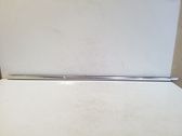 Front door glass trim molding