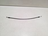 Rear door cable line