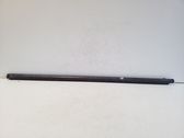 Front door glass trim molding