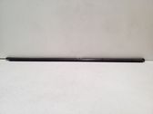 Front door glass trim molding