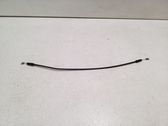 Rear door cable line
