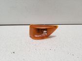 Front fender indicator light