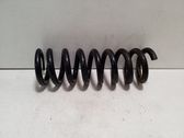 Front coil spring