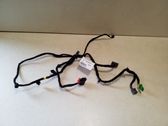 Other wiring loom