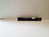 Rear shock absorber/damper