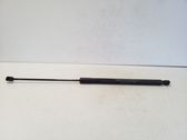 Tailgate/trunk strut/damper