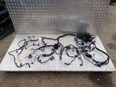 Other wiring loom