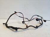 Other wiring loom
