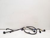 Other wiring loom