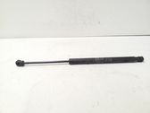 Front bonnet/hood damper/strut