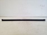 Front door glass trim molding