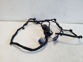 Rear door wiring loom