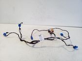 Other wiring loom