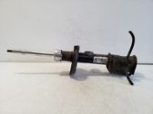 Front shock absorber/damper