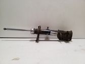 Rear shock absorber/damper