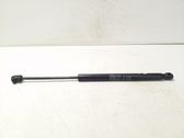 Front bonnet/hood damper/strut